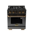 thumbnail image 2 of 30 in. 4.2 cu. ft. Dual Fuel Range for Natural Gas in Dark Stainless Steel, 2 of 14