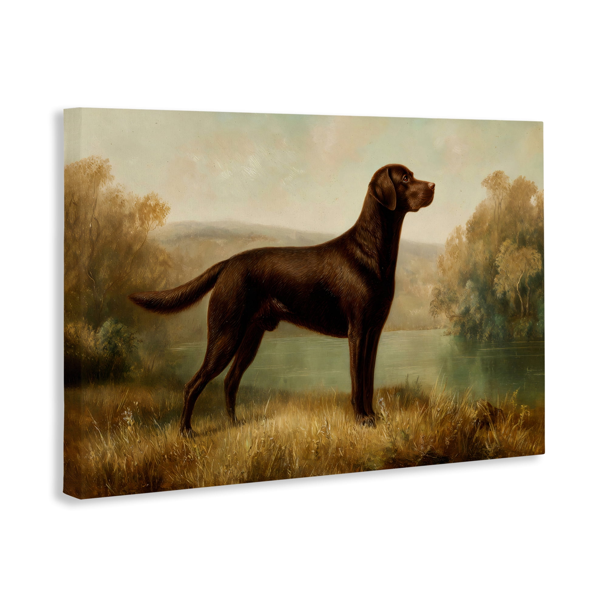 Stupell Industries Chocolate Brown Labrador Canvas Wall Art, design by Petal Prints Design