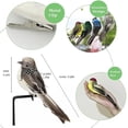 thumbnail image 3 of Ksopiavobs 4pcs Mixed Colors Artificial Feathered Birds 6inch Clip on Sparrow Bird Ornaments for Christmas Tree Decoration Wreath Craft Garden Home Decor Party Accessories, 3 of 6