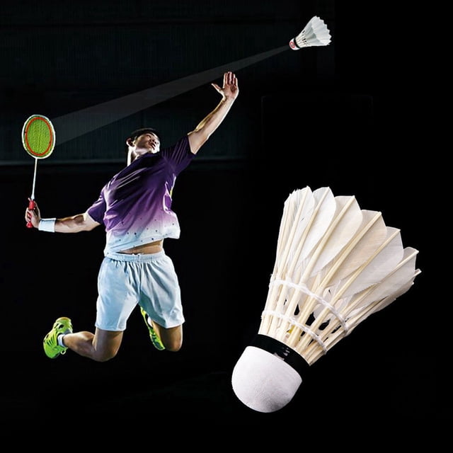 New 12 Pcs White Badminton Ball Shuttlecocks Sport Training Game