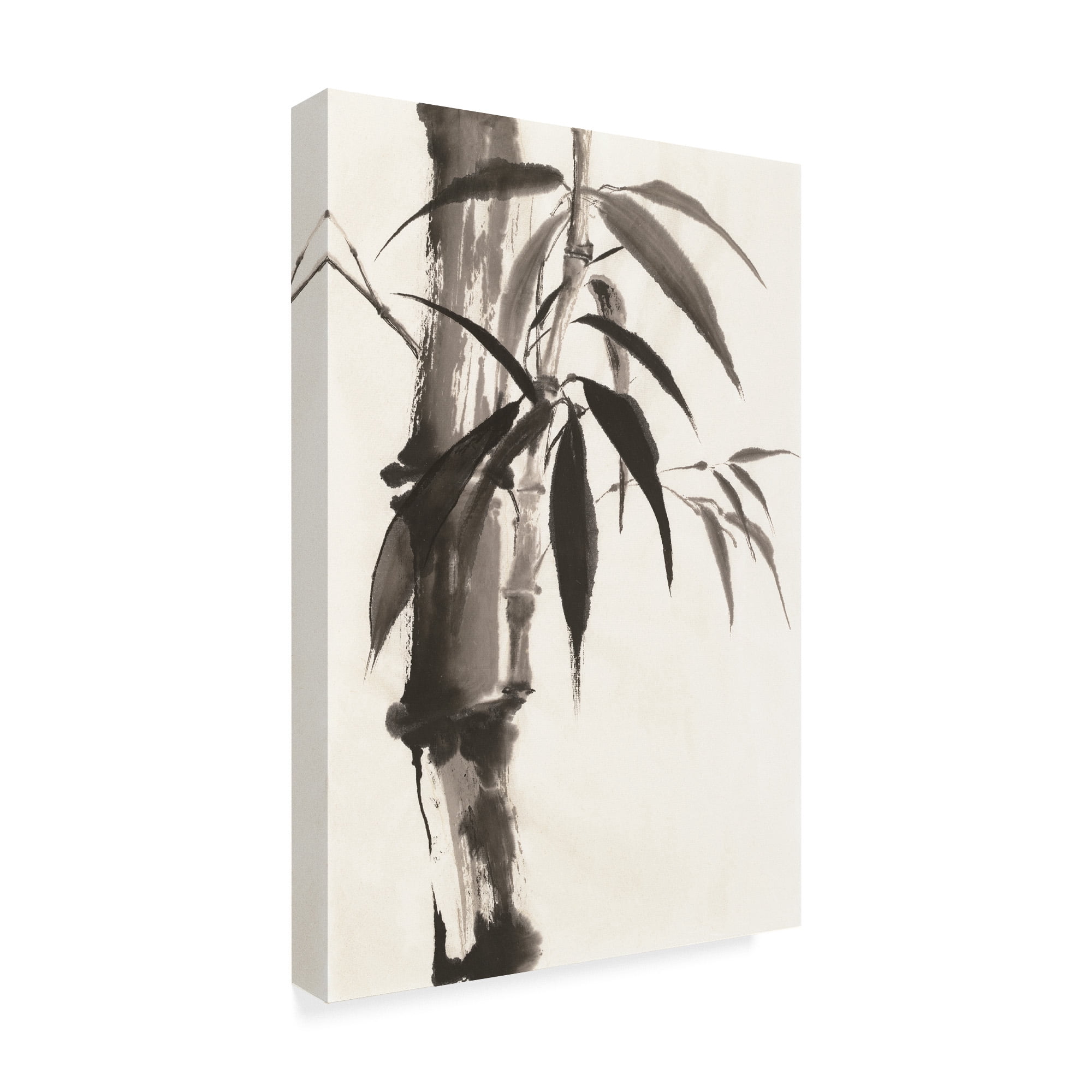 Trademark Fine Art 'Sumi Bamboo' Canvas Art by Chris Paschke