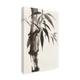thumbnail image 2 of Trademark Fine Art 'Sumi Bamboo' Canvas Art by Chris Paschke, 2 of 3