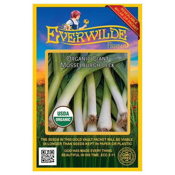 Everwilde Farms - 500 Organic Giant Musselburg Leek Seeds - Gold Vault Jumbo Bulk Seed Packet