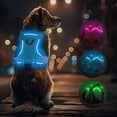 thumbnail image 1 of YWC-Light Up Dog Harness Rechargeable,LED Dog Harness for Night Walking,Dog Vest Harness for Small/Medium/Large/X Large Size Dogs-No Pull,High Visibility,4 Point Adjustable,BlueXL, 1 of 4