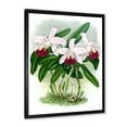 thumbnail image 2 of Designart 'White Vintage Orchid Flower I' Traditional Framed Art Print, 2 of 4