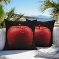 thumbnail image 4 of Red Fruit Outdoor Pillow Covers Pack of 2 Real Black Background Waterproof Throw Pillow Covers Decorative Cushion Cases for Patio Garden Tent Balcony Couch 20x20 inch, 4 of 8