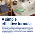 thumbnail image 4 of Pasta de dientes Dr. Bronner's All-One Spearmint, 150 ml, paquete de 3, 4 of 7