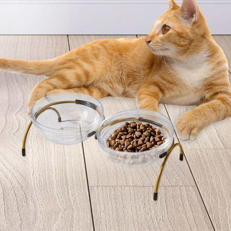 Glass dog cheap food bowls