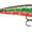 Brook Trout, variant on Rapala X Rap 06 1/8oz Brook Trout