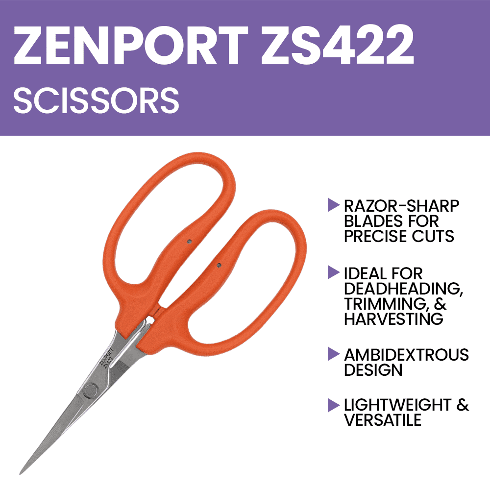 Zenport ZS422 Straight Blade MasaMasa Scissors, Orange, 1.4 Inch Stainless Steel Blades, Orange