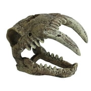Komodo Saber Tooth Skull Decor for Aquarium or Reptile Tank, Polyresin, Aquarium Decor, Bone Color