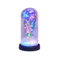 thumbnail image 2 of Gaiwos Preserved Rose in Glass Dome Light up Rose Galaxy Roses with Colored Foam Ball Filler, Forever Eternal Flowers, Anniversary Presents for Valentine's Day and Mother's Day, 8.27 in, 2 of 6