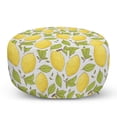 thumbnail image 1 of Lemon Pouf Cover with Zipper, Lemonade Fruit and Leaves Doodle Fresh Along Citrus on a Muted Tone Backdrop, Soft Decorative Fabric Unstuffed Case, 30" W X 17.3" L, Green and Mustard, by Ambesonne, 1 of 5