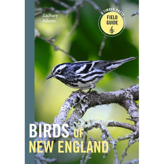 Timber Press Field Guide Birds of New England: A Timber Press Field Guide, (Paperback)