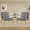 Darkgrey-2pc, variant on Accent Chair Set of 2 with Pillow Upholstered Mid-Century Chair Living Room Chair for Small Space Solid Wood Frame Reading Chair with Soft Thick Cushion Armchair for Bedroom Balcony Green