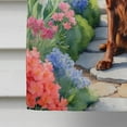 thumbnail image 2 of Irish Setter Spring Path House Flag, 2 of 7