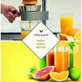Manual Fruit Juicer Commercial Grade Home Citrus Lever Squeezer for