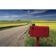 thumbnail image 2 of Mailbox On Country Road, Tiger Hills, Manitoba Poster Print (17 x 11), 2 of 4