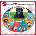 thumbnail image 5 of SPOT Play Strong Scent-Sations Rubber Bones for Dogs, for Aggressive Chewers up to 45lbs, Great for Puppies & Medium Breeds, Peanut Butter Flavored, 6in, 5 of 5