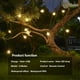 thumbnail image 3 of Guirnalda de luces LED solares para exteriores, bombillas inastillables, 8 modos de luz, decoración de fiesta de Navidad, jardín, Pub, terraza, G40, 3 of 4