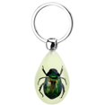 thumbnail image 1 of Inteprter Luminous Insect Keychain Resin Car Glowing Backpack Pendant Key Chain Ring Jewelry Handbag Keyring for Woman Man Suministros de limpieza para el hogar No.2, 1 of 6