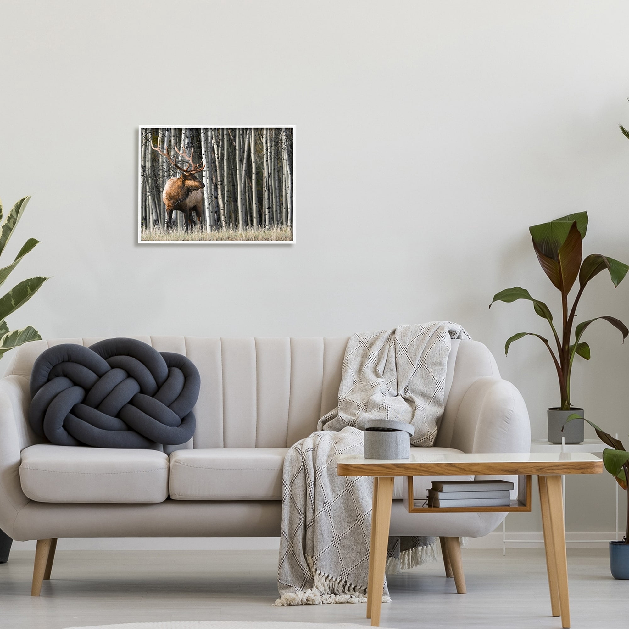 Stupell Industries Elk Looming Out Birch Trees Animal Forest Photograph,20 x 16, Design by Danita Delimont