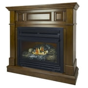 Best Napoleon Direct Vent Gas Fireplaces - Pleasant Hearth 42 in. Propane (LP) Intermediate Freestanding Review 