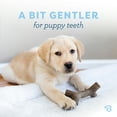 thumbnail image 5 of Benebone Puppy 2-Pack Maplestick/Zaggler Durable Dog Chew Toys for Gentle Chewers, Real Bacon, Real Maplewood, Tiny, 5 of 10