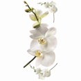 thumbnail image 2 of Room Mates Room Mates Deco 3 Piece White Orchid Wall Decal, 2 of 2
