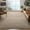 Beige, variant on SAFAVIEH Natura Earnestine Solid Area Rug, Ivory, 8' x 10'