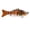 E, variant on FANSHAYTTT 3D Fish Hook Realistic Fish Shape Fishing Supplies For Fishing Enthusiasts the great outdoors outdoorsy for men Fishing fishing gear fishing for men fishing fishing tackle saltwater fishing