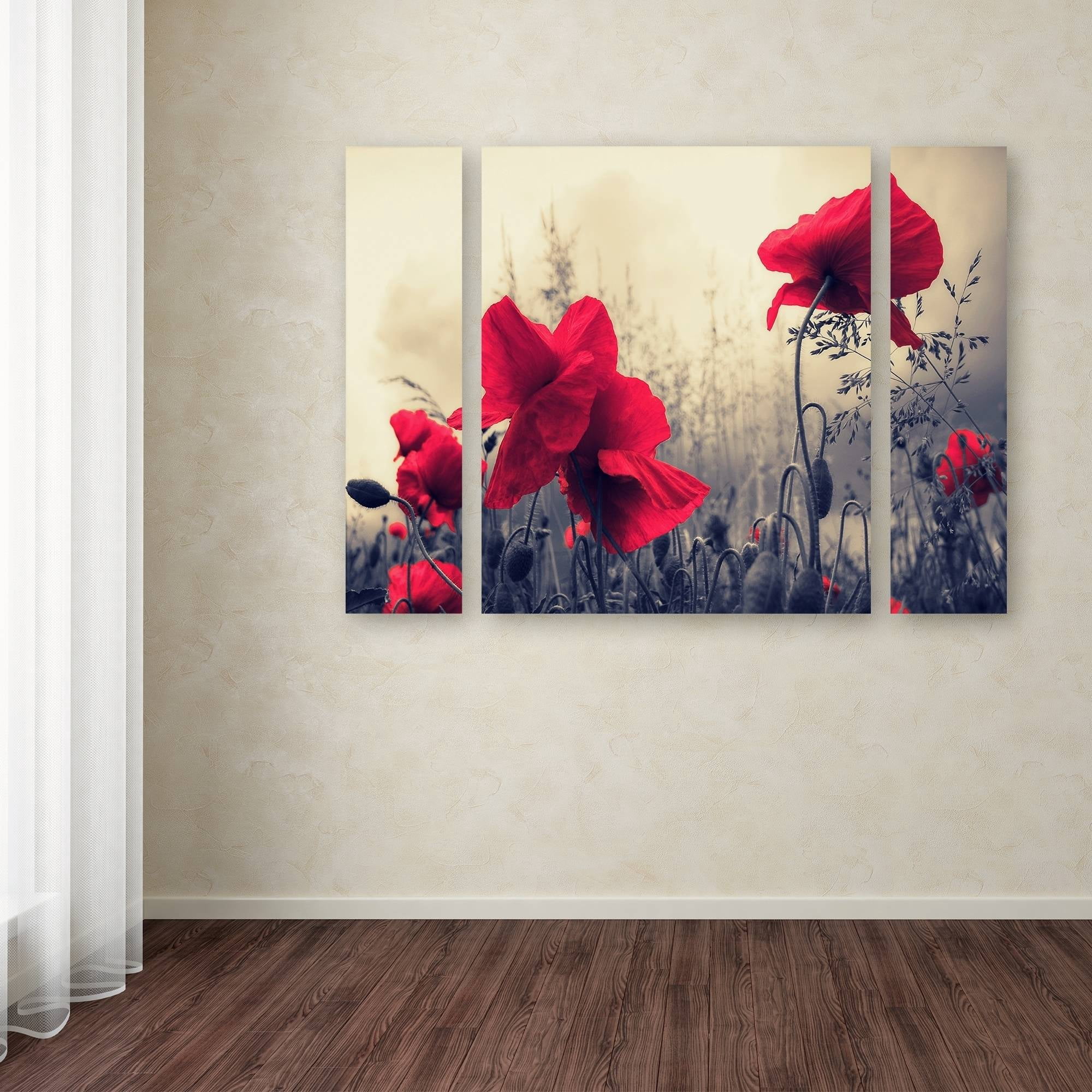 Trademark Fine Art "Red For Love" Canvas Art by Philippe Sainte-Laudy Three Panel Set