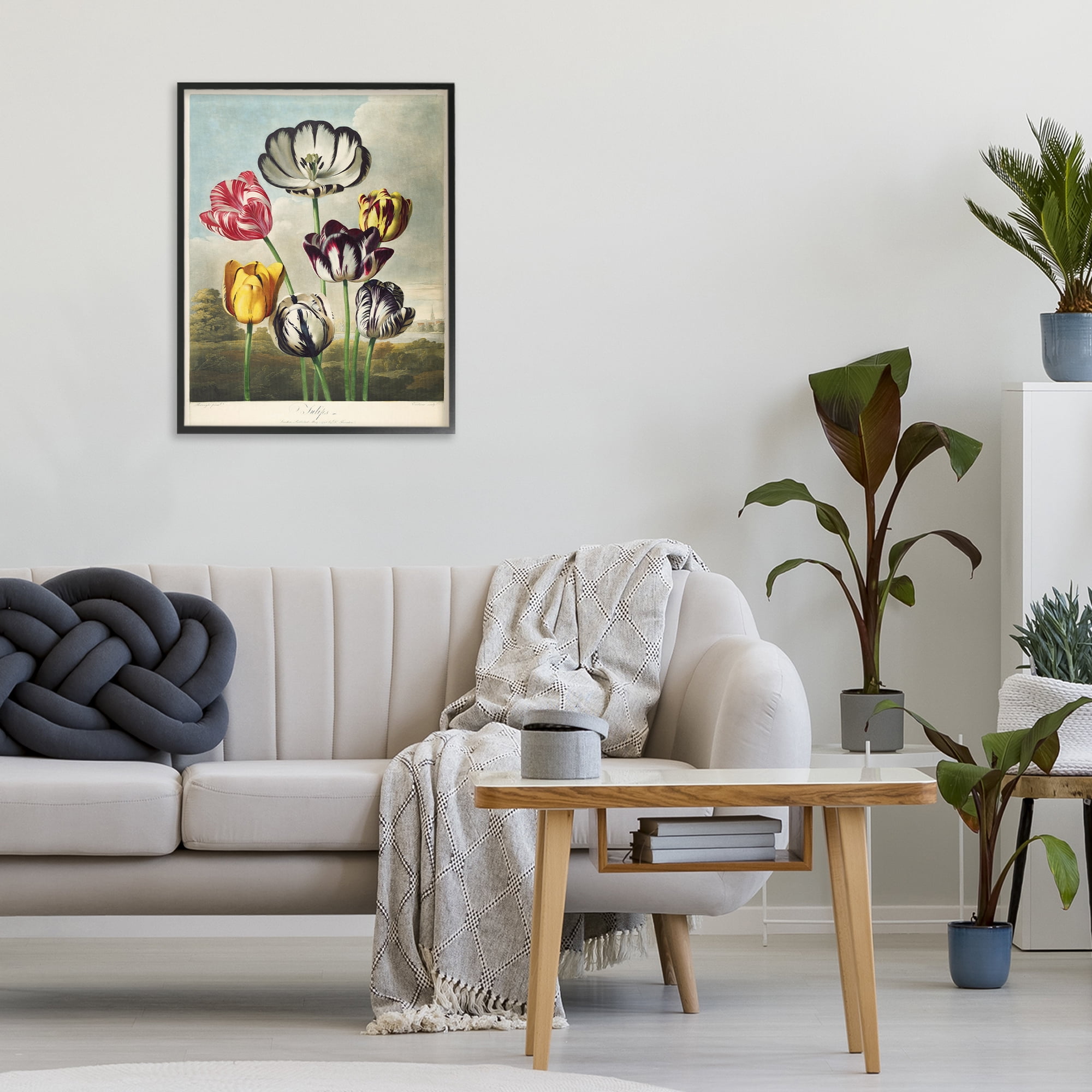 Stupell Industries Tulips From The Temple Black Framed Giclee Art, design by Print Collection