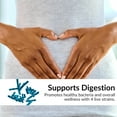 thumbnail image 3 of Kaya Naturals Probiotic 60 Billion CFU | Probiotics for Women, Probiotics for Men and Adults, Natural | Gut Health & Immune Support Supplement | Provides Digestive Support - 30 Vegetable Capsules, 3 of 5