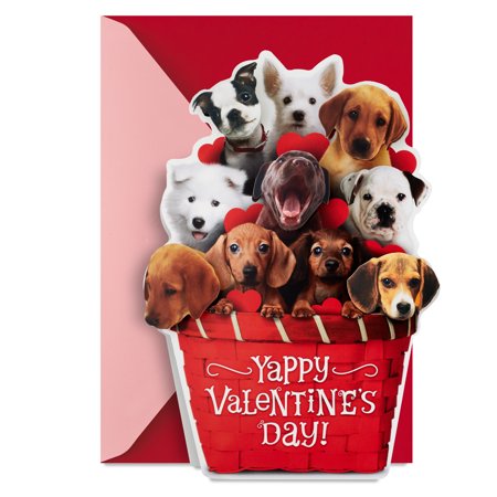 Hallmark Funny Musical Valentine's Day Card (Puppy Dogs in Basket)