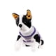 thumbnail image 3 of Suéter Tejido para perro XL Zatopet Bulgaria, 3 of 3