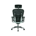 Eurotech High Back Ergohuman Leather Executive Desk Chair