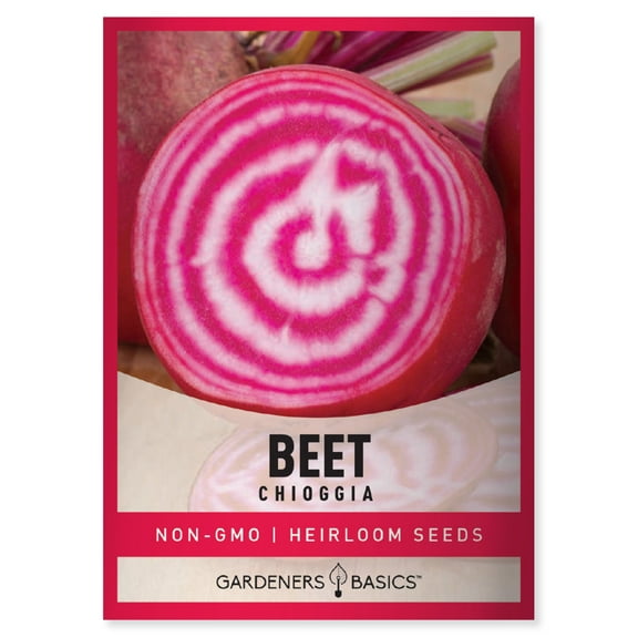 Chioggia Beet Seeds