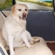 thumbnail image 1 of Car Seat Door Protection Mat Pet Mat, 1 of 8