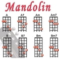 thumbnail image 2 of Walrus Productions Mandolin Chord Mini Chart, 2 of 3