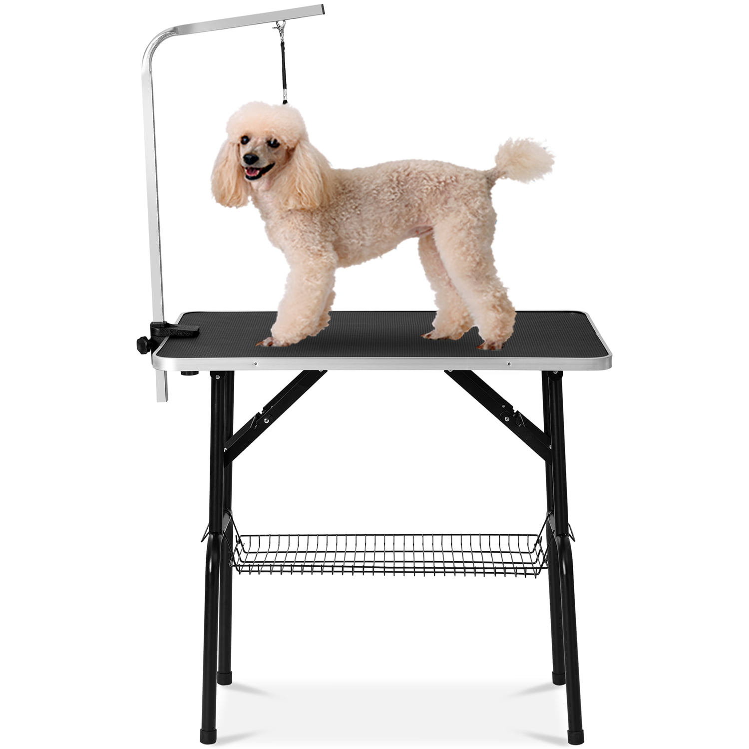 Best Restraint For Dog Grooming in the year 2023 The ultimate guide 