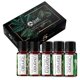thumbnail image 1 of Kit Aromaterapia OLEOS - BASICOS - 5 Aceites Esenciales 100% Natural y puro. 10ml (Tomillo,Lavanda, Menta,Romero, Citronela) Vida Scents Kit Oleos Básicos - 5 Piezas, 1 of 4