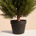 thumbnail image 3 of DR.Planzen 2 Pack 6ft Artificial Cedar Tree with Real Wood Trunk, Faux Silk Plant UV Resistant for Indoor Outdoor, Lifelike Fake Potted Tree for Home Office Decor, 3 of 8