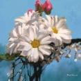 thumbnail image 3 of Novak, Rick 12x12 Black Modern Framed Museum Art Print Titled - Still Floral II, 3 of 5