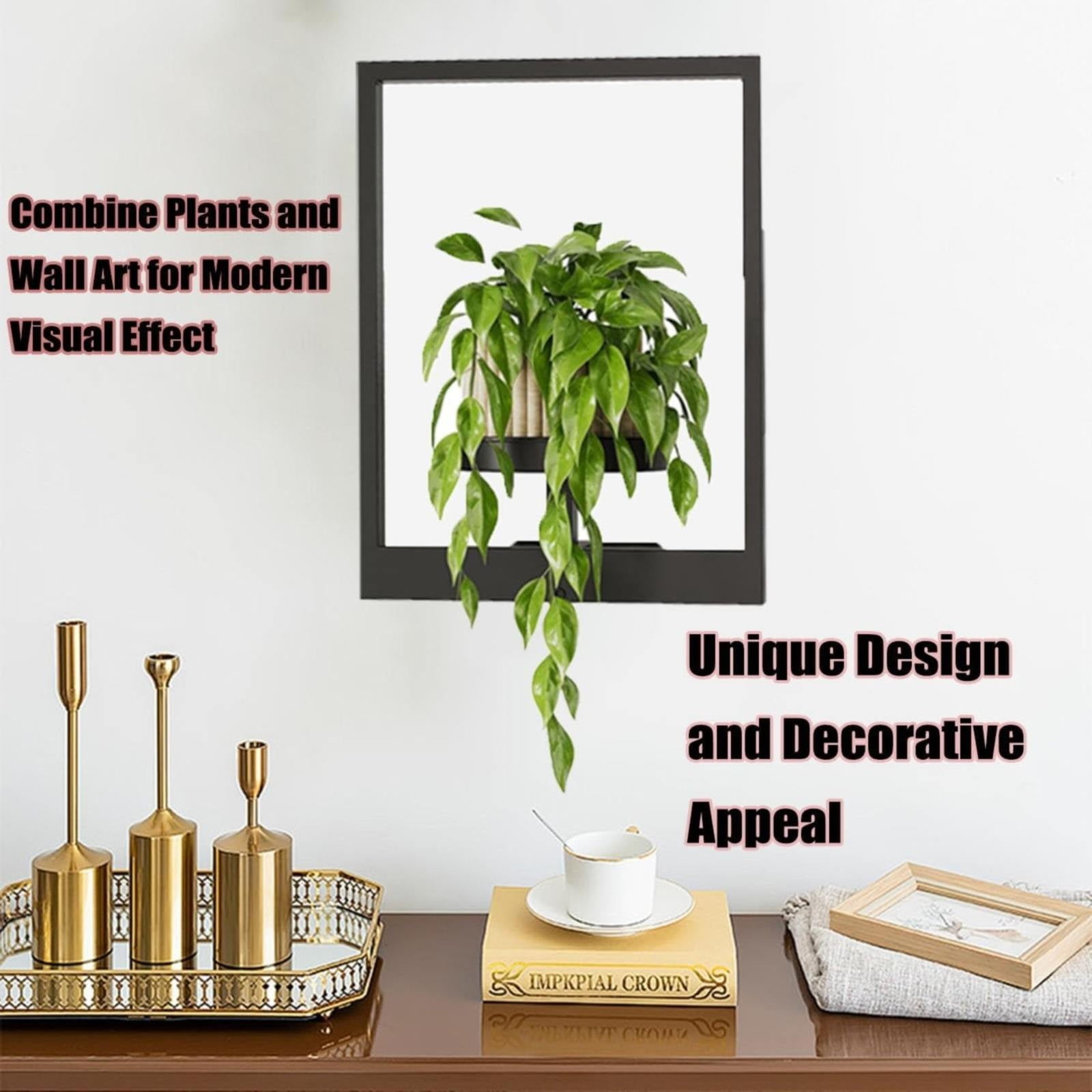 BKBP Picture Frame Wall Plant Holder Window Plant Shelf Wall Hanging Planters for Indoor Plants Plant Hanger Outdoor Wall-Mounted Plant Rack Black Metal Wall Decor (30x40cm, Pot Not Included)