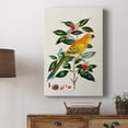 thumbnail image 5 of Bird in Habitat V Premium Gallery Wrapped Canvas - Ready to Hang, 5 of 9