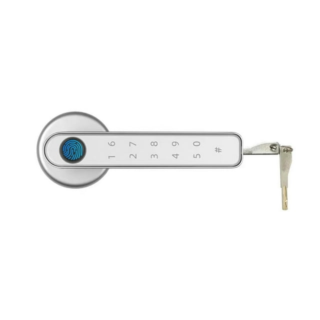 Door Locks Biometric Fingerprint Locker Smart Entry Home Handle APP Unlock Digital Intelligent Lock