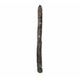 thumbnail image 2 of Playful Plumeria Plant - Frangipani - 12-16" Cutting, 2 of 4