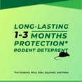 thumbnail image 3 of 10 Pack Rodent Repellent - Mice Repellent Indoor/Outdoor - Moth Balls for Rodents, Mouse Repellent Peppermint, Keep Mice Away, Peppermint to Repel Mice and Rats, Rat Repellent for House, 3 of 6