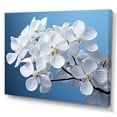 thumbnail image 2 of Designart "Hydrangea Blossoms In Soft Neutral Tones" Hydrangea Wall Art Prints, 2 of 7